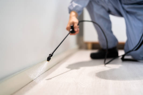 Licensed Rodent Control service in Saratoga Springs, NY - Nex Pest Control