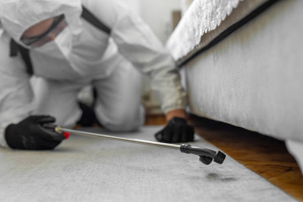 Professional Rodent Control technician working in Saratoga Springs, NY