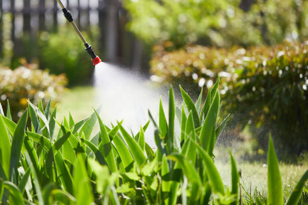 24/7 Emergency Rodent Control experts in Saratoga Springs, NY