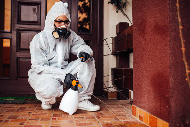 Reliable Rodent Control contractor in Saratoga Springs, NY by Nex Pest Control