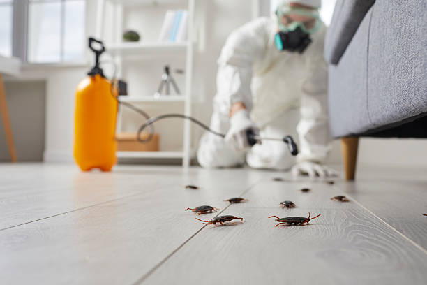 Trusted Rodent Control service in Saratoga Springs, NY - Nex Pest Control